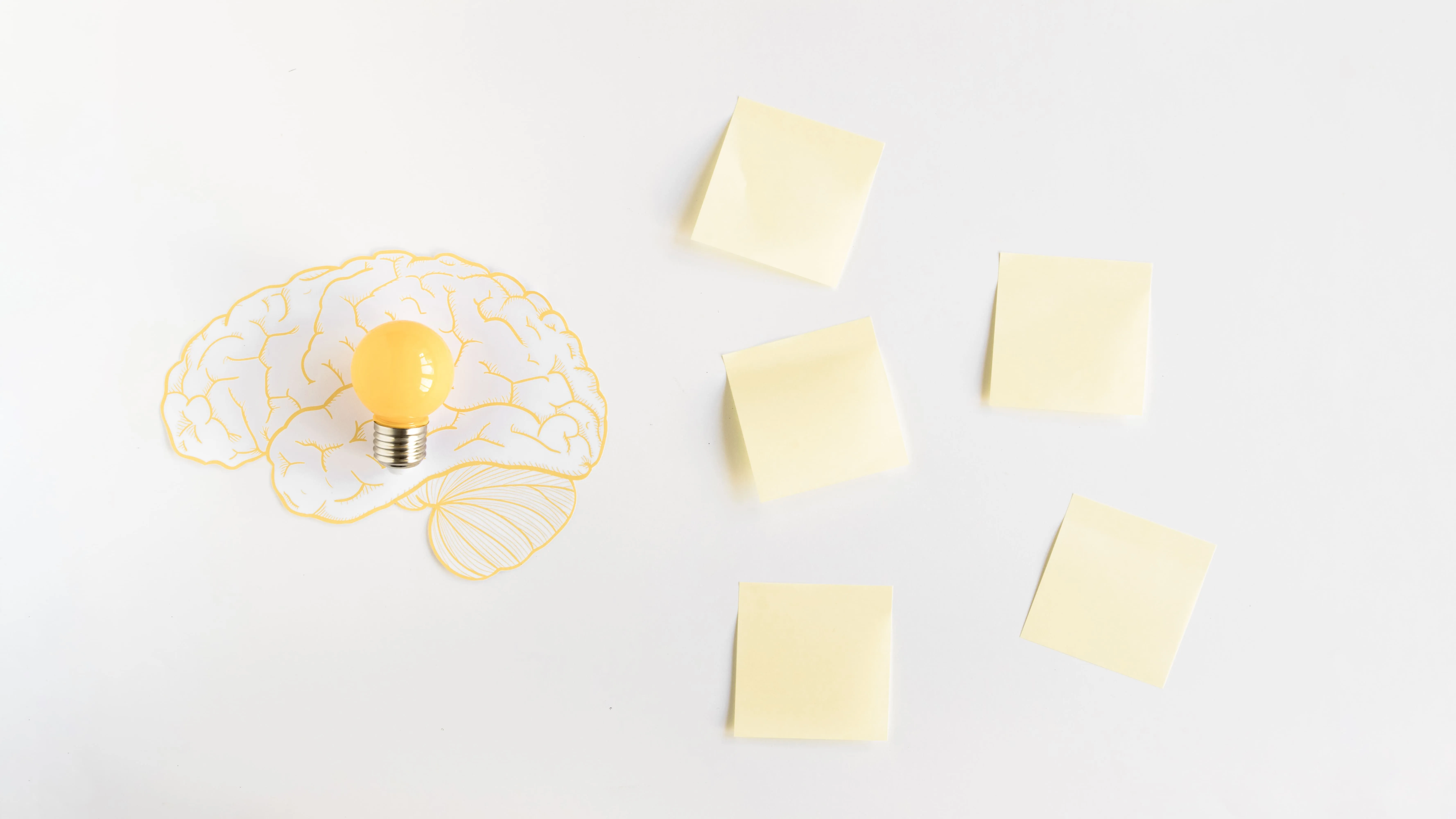 light bulb illustration
